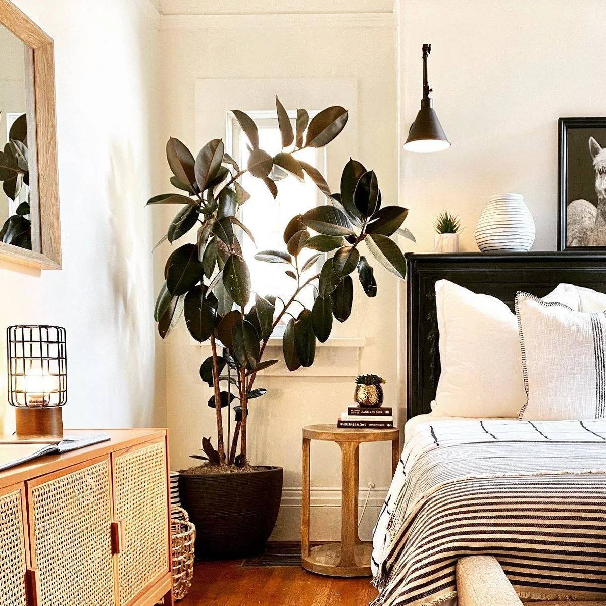 GoWest Home Design